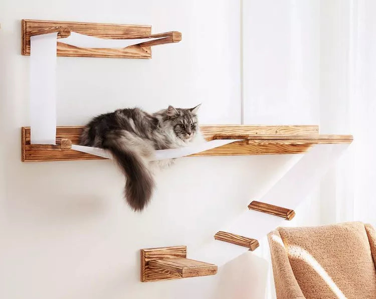 66 idées de Escalade mur pour chat.  mobilier pour chat, chat, trucs de  chat